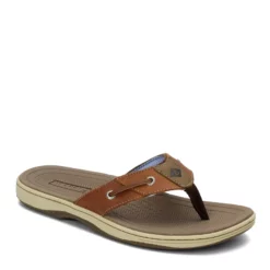 Men's Sperry, Baitfish Sandal
