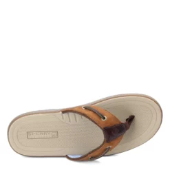 Men's Sperry, Baitfish Sandal -Shoes Sales Store 1 26080 ZM 5